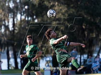 Thumbnail 3 in Shorecrest Prep @ Carrollwood Day photogallery.