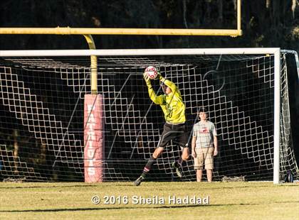 Thumbnail 2 in Shorecrest Prep @ Carrollwood Day photogallery.