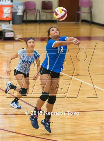 Thumbnail 1 in D&#39;Hanis @ Lanier (Arabian Roundup) photogallery.