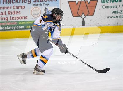 Thumbnail 1 in Roxbury @ Sparta/Jefferson (Halvorsen Cup Quarterfinal) photogallery.