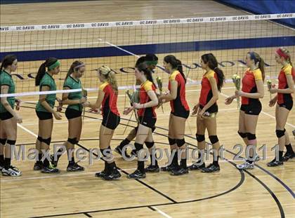 Thumbnail 1 in St. Francis vs St. Mary's (CIF SJS D1 Final) photogallery.