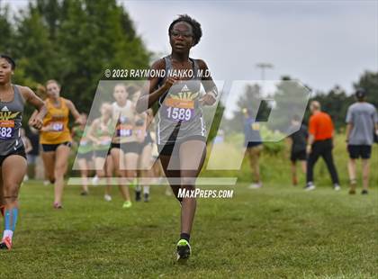 Thumbnail 2 in Wildcat Classic Invitational  photogallery.