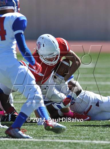 null - Photo 41