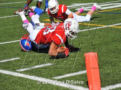 Thumbnail 2 in Fountain-Fort Carson @ Chaparral photogallery.