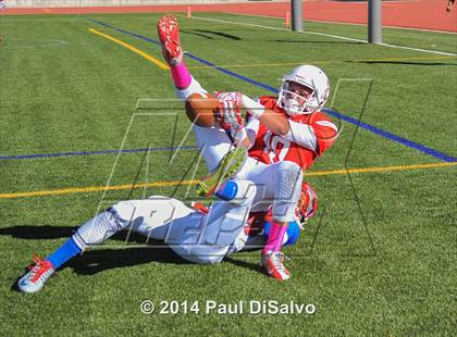 Thumbnail 3 in Fountain-Fort Carson @ Chaparral photogallery.