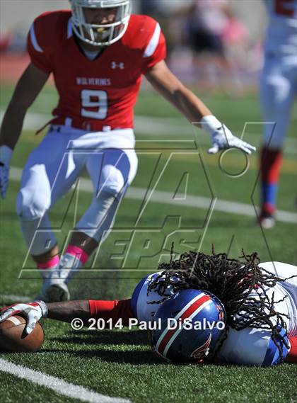 Thumbnail 1 in Fountain-Fort Carson @ Chaparral photogallery.