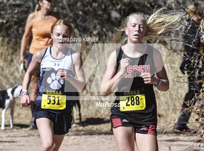 Thumbnail 3 in CHSAA 3A Cross Country Championships photogallery.