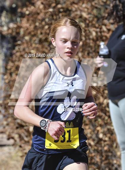 Thumbnail 1 in CHSAA 3A Cross Country Championships photogallery.