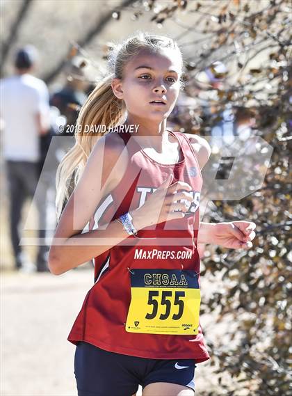 Thumbnail 3 in CHSAA 3A Cross Country Championships photogallery.
