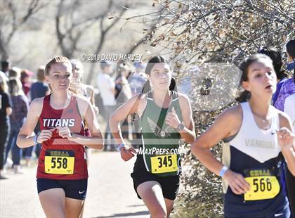 Thumbnail 1 in CHSAA 3A Cross Country Championships photogallery.