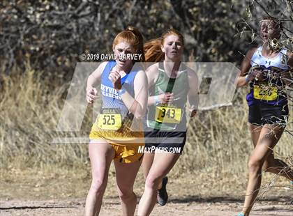 Thumbnail 1 in CHSAA 3A Cross Country Championships photogallery.