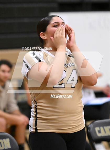 Thumbnail 1 in Dana Hills vs. Canyon (CIF-SS D3 Playoff) photogallery.