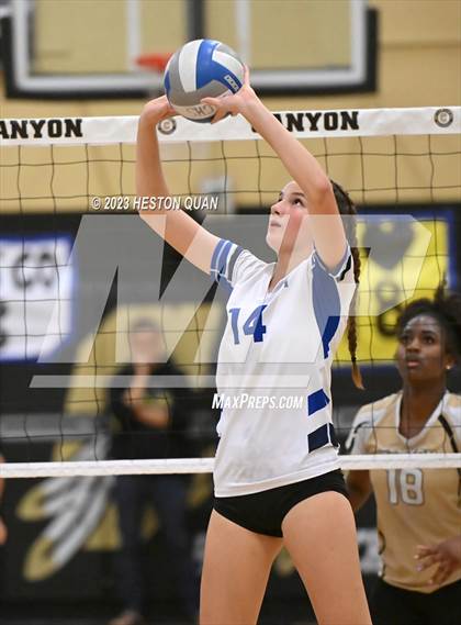 Thumbnail 1 in Dana Hills vs. Canyon (CIF-SS D3 Playoff) photogallery.