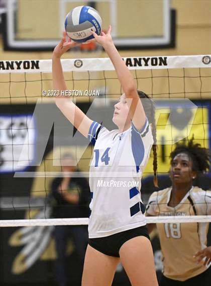 Thumbnail 2 in Dana Hills vs. Canyon (CIF-SS D3 Playoff) photogallery.