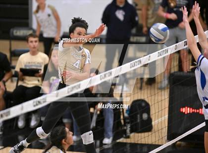 Thumbnail 3 in Dana Hills vs. Canyon (CIF-SS D3 Playoff) photogallery.