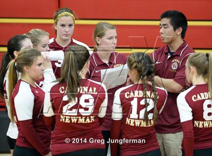 Thumbnail 2 in Analy @ Cardinal Newman photogallery.
