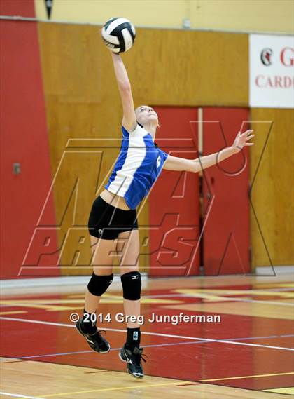 Thumbnail 3 in Analy @ Cardinal Newman photogallery.
