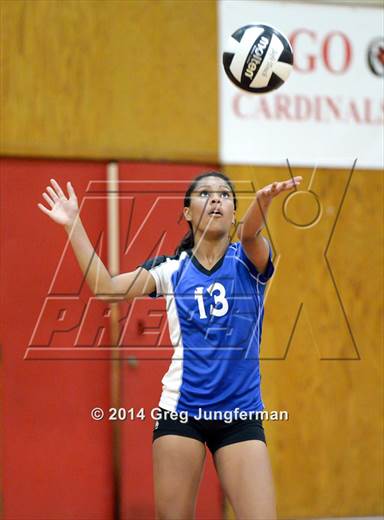 null - Photo 61
