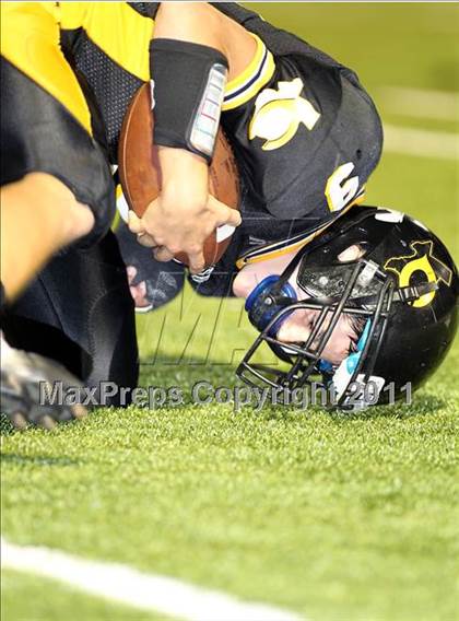 Thumbnail 1 in A. Maceo Smith @ Crandall photogallery.