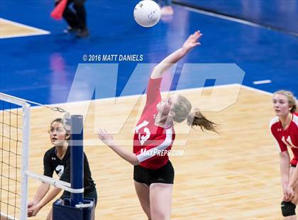 Thumbnail 2 in Montrose vs. Pueblo West (CHSAA 4A Playoff) photogallery.