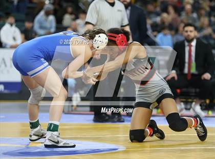 Thumbnail 1 in NJSIAA Girls Wrestling State Finals  photogallery.