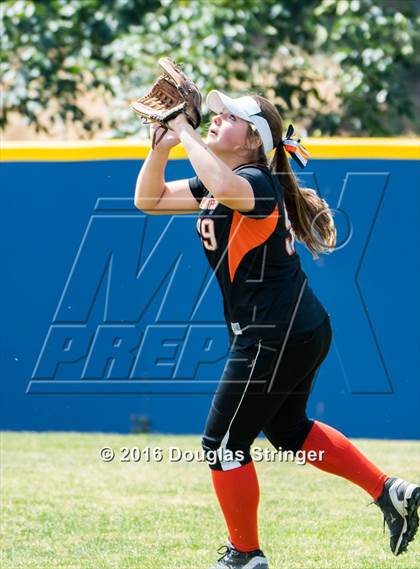 Thumbnail 1 in Notre Dame vs. Half Moon Bay (CIF CCS Division 3 Final) photogallery.