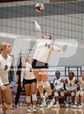 Photo from the gallery "Alba-Golden @ Jefferson"
