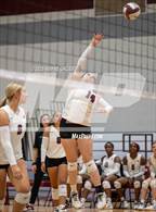 Photo from the gallery "Alba-Golden @ Jefferson"