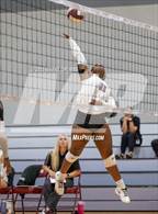 Photo from the gallery "Alba-Golden @ Jefferson"