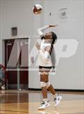 Photo from the gallery "Alba-Golden @ Jefferson"