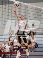 Photo from the gallery "Alba-Golden @ Jefferson"
