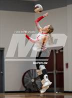 Photo from the gallery "Alba-Golden @ Jefferson"