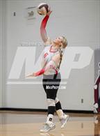 Photo from the gallery "Alba-Golden @ Jefferson"