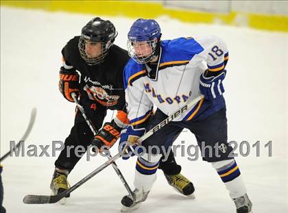 Thumbnail 3 in Mamaroneck @ Mahopac photogallery.