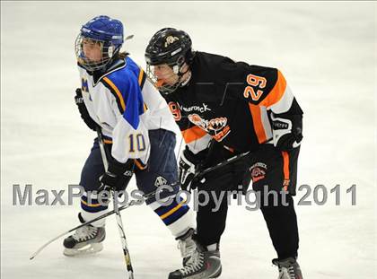 Thumbnail 1 in Mamaroneck @ Mahopac photogallery.