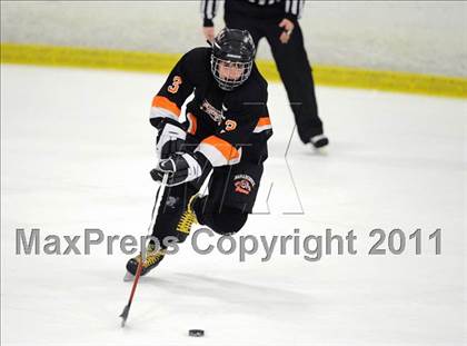 Thumbnail 3 in Mamaroneck @ Mahopac photogallery.