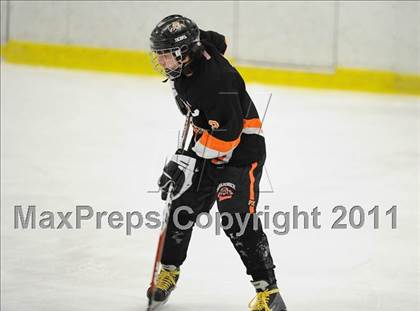 Thumbnail 1 in Mamaroneck @ Mahopac photogallery.