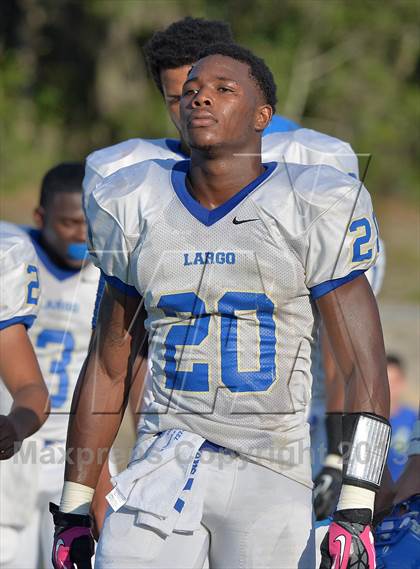 Thumbnail 1 in Palm Harbor University Jamboree photogallery.