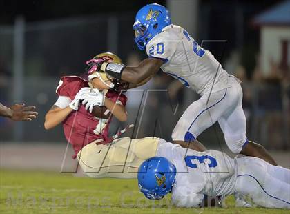 Thumbnail 1 in Palm Harbor University Jamboree photogallery.