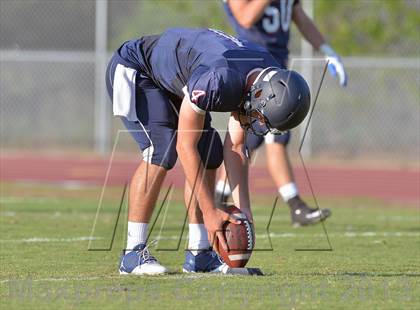 Thumbnail 2 in Palm Harbor University Jamboree photogallery.