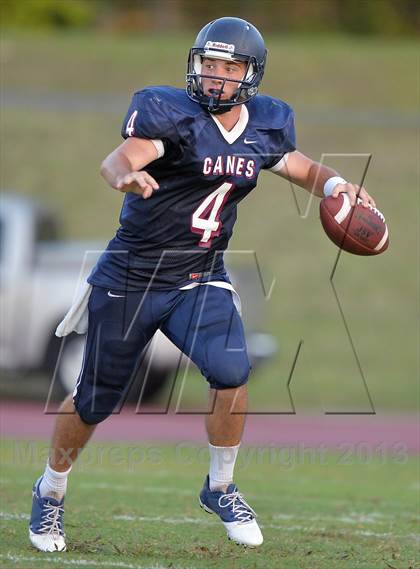Thumbnail 1 in Palm Harbor University Jamboree photogallery.