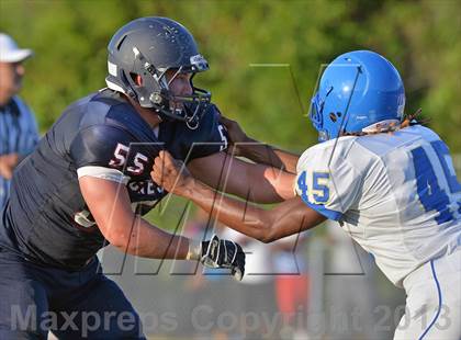 Thumbnail 1 in Palm Harbor University Jamboree photogallery.