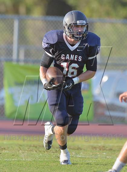 Thumbnail 1 in Palm Harbor University Jamboree photogallery.
