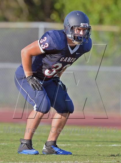 Thumbnail 1 in Palm Harbor University Jamboree photogallery.
