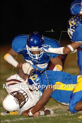 Thumbnail 1 in Bellflower @ Gahr photogallery.