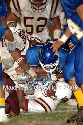 Thumbnail 2 in Bellflower @ Gahr photogallery.