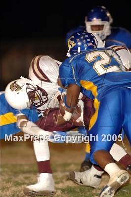Thumbnail 3 in Bellflower @ Gahr photogallery.