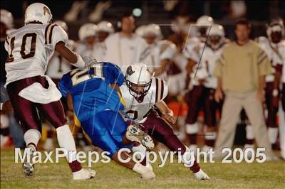 Thumbnail 3 in Bellflower @ Gahr photogallery.