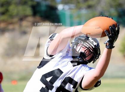 Thumbnail 2 in Spring Creek @ Truckee photogallery.