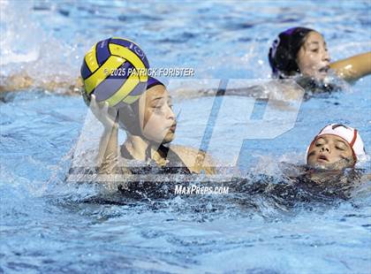 Thumbnail 2 in Warren vs. Stevens photogallery.